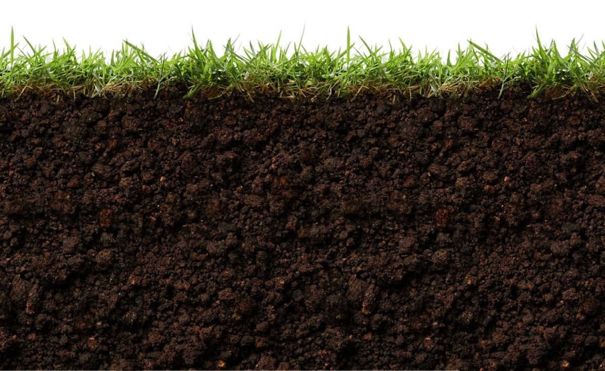 Земля с травой