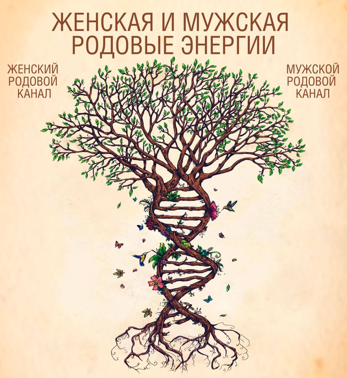 Сила рода тренинг