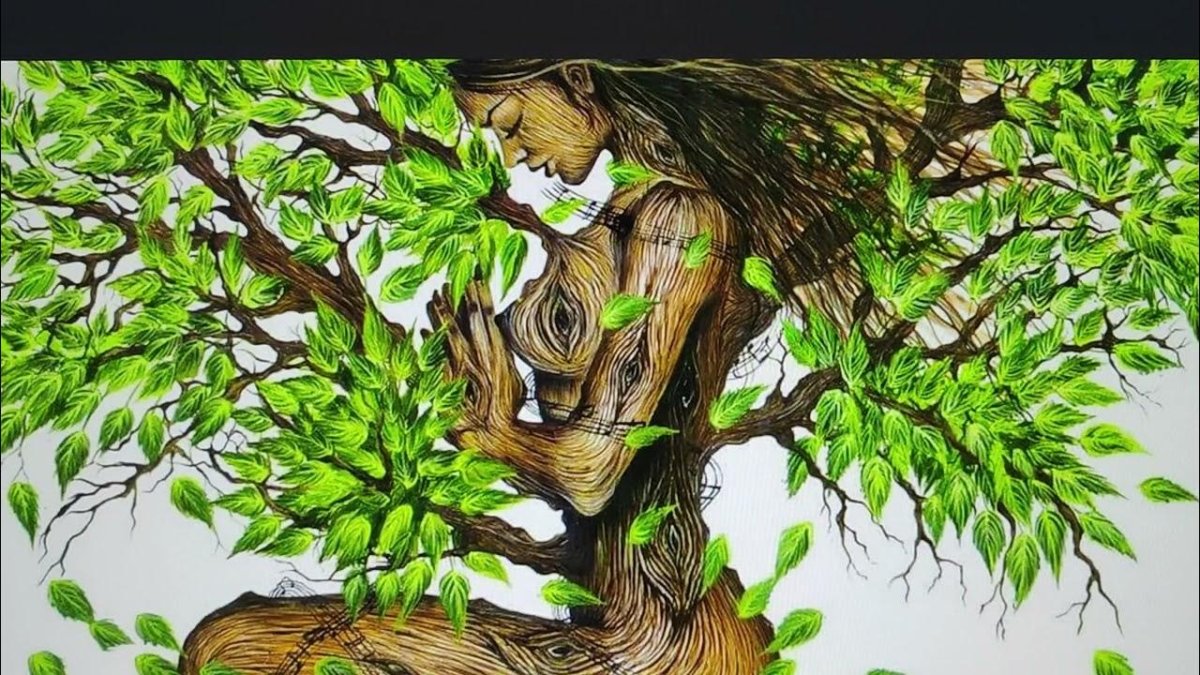 Плетение дерева рода Фравахар