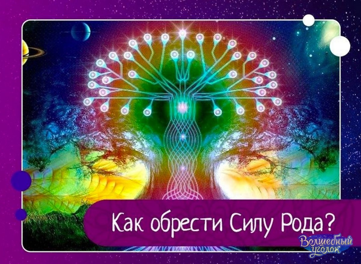 Жозефина Уолл дерево тысячелетия