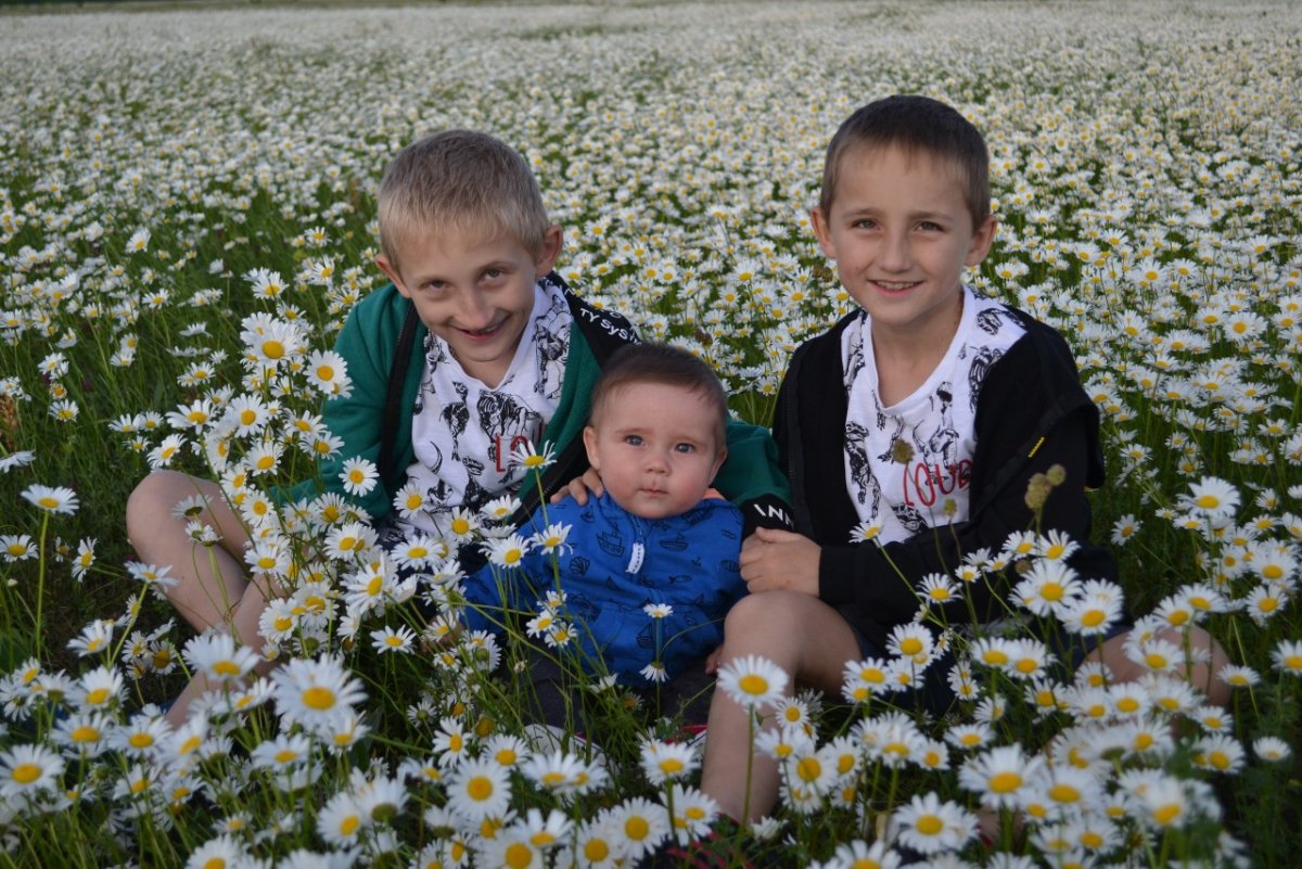 Дети в ромашковом поле