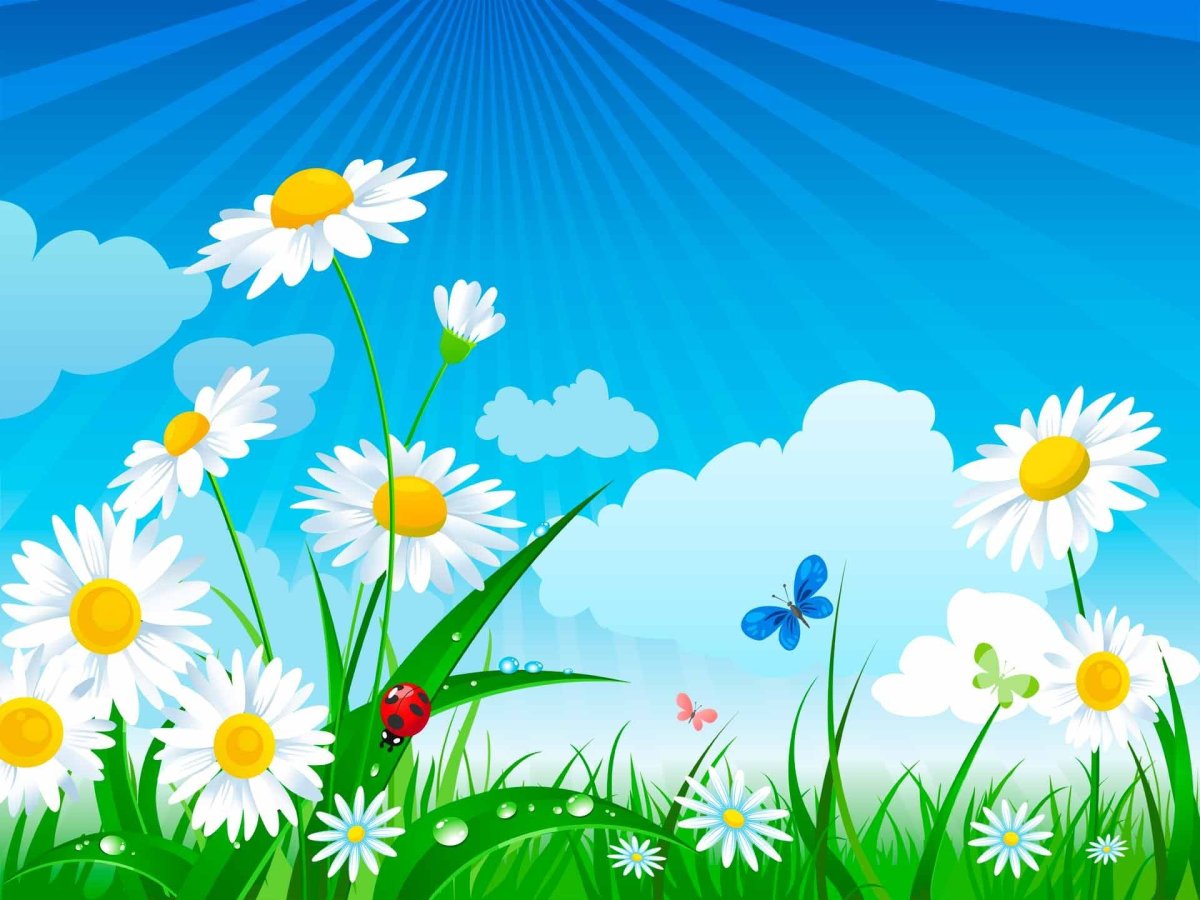 Ромашковое поле Удмуртия 2021 год