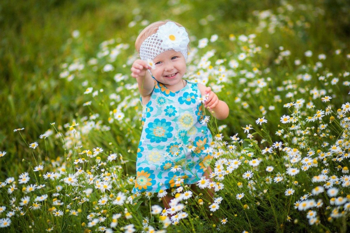 Ромашковое поле настроение