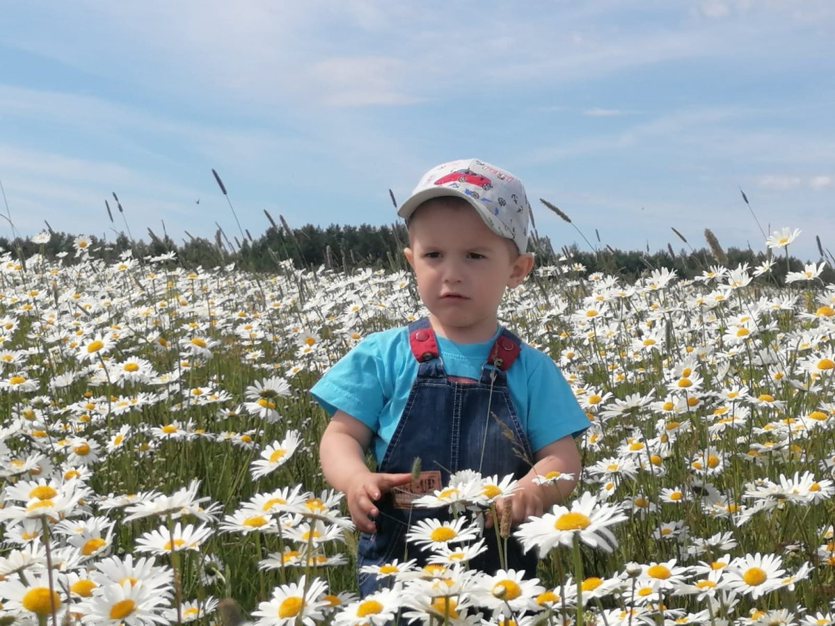 Летнее поле