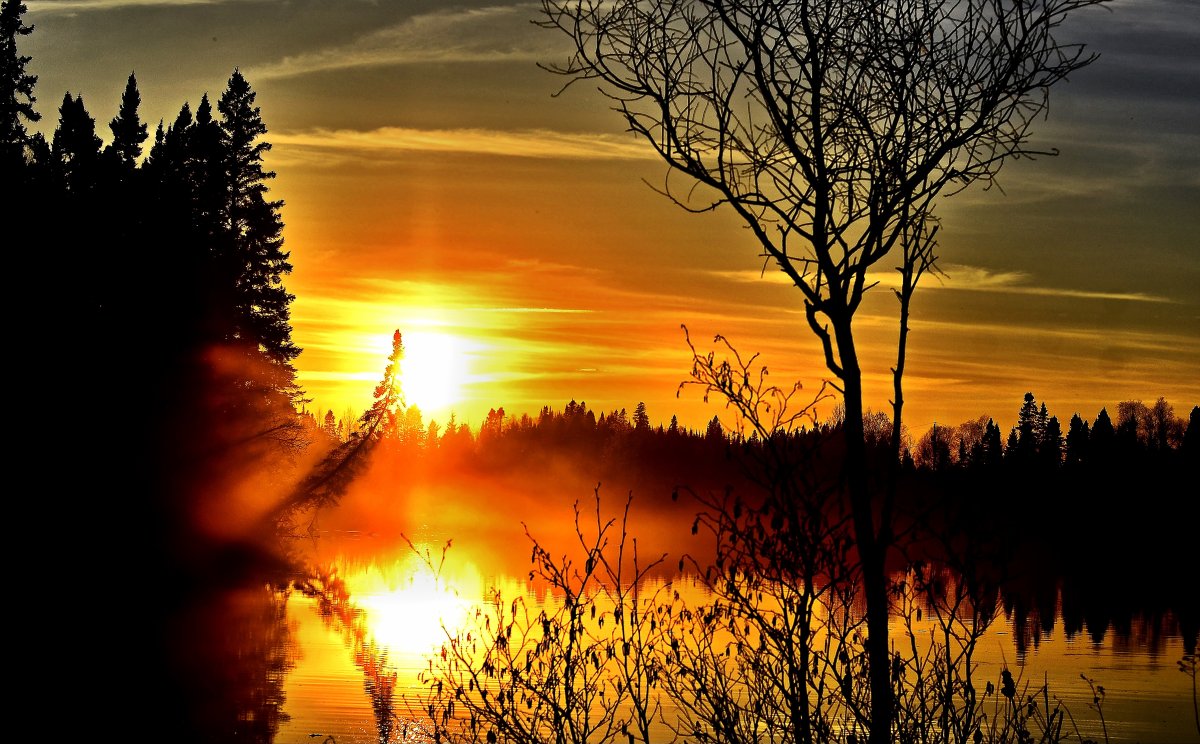 Пейзаж Заря