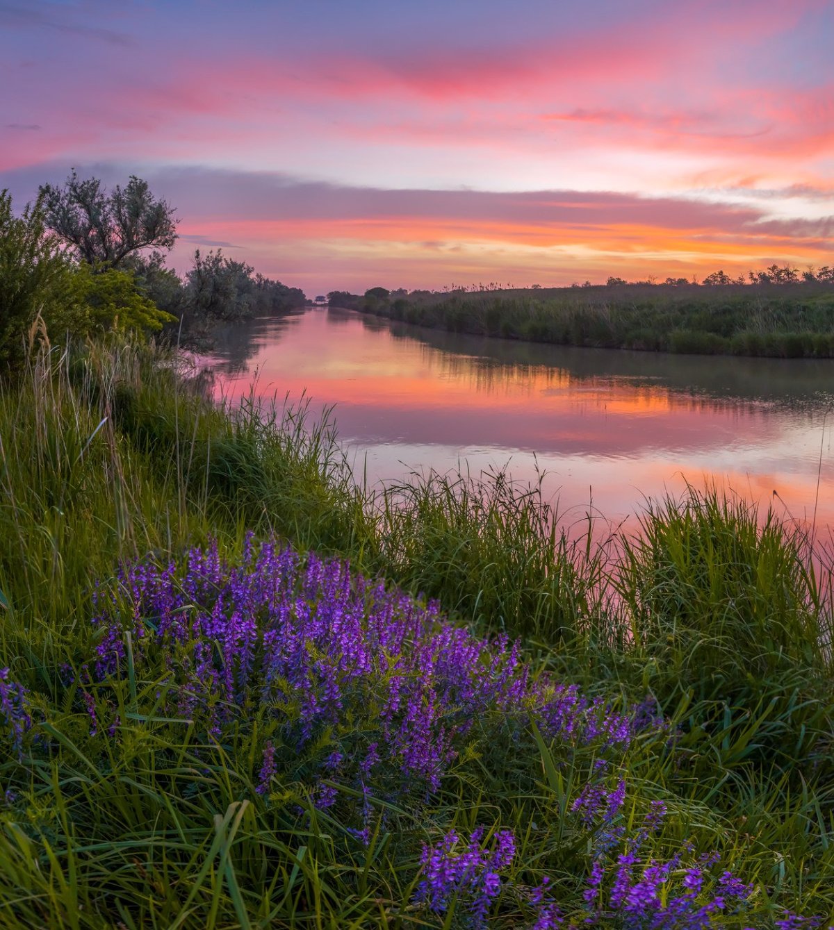 Федор Лашков природа Ставропольского края