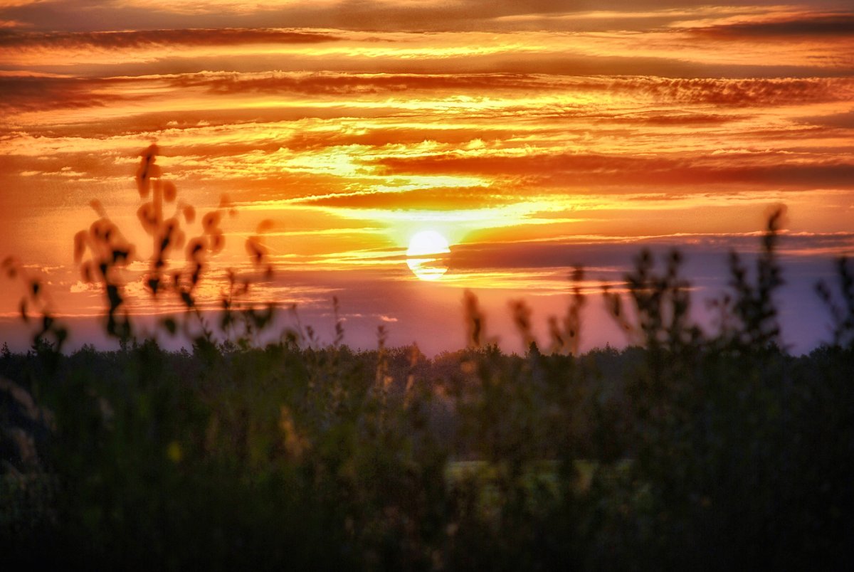 Вечерняя Заря