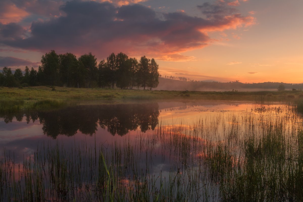 Пейзаж Заря