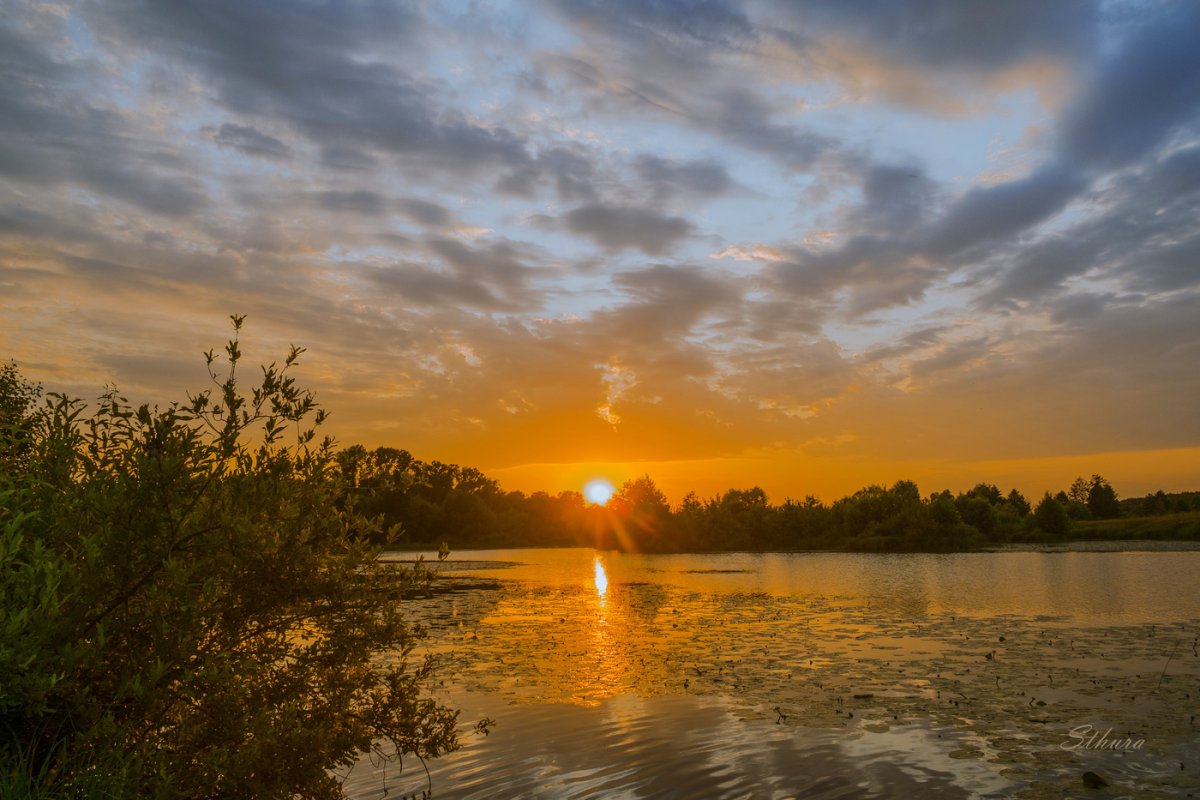 На вечерней заре