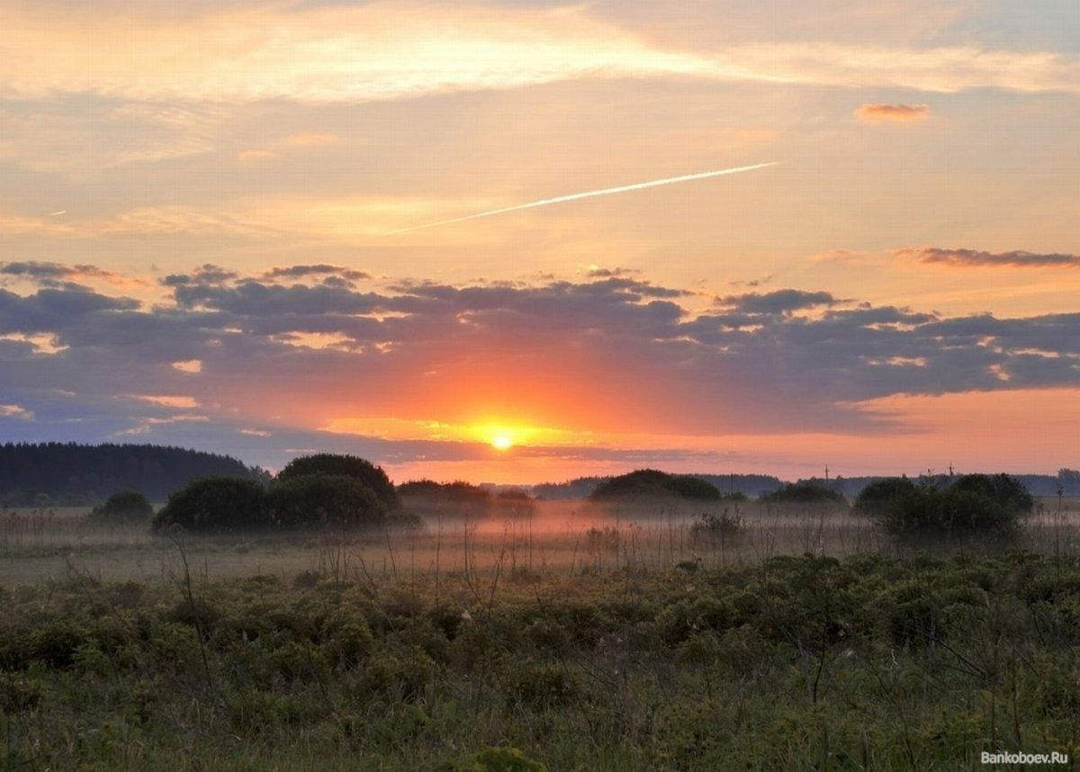 Ранний закат