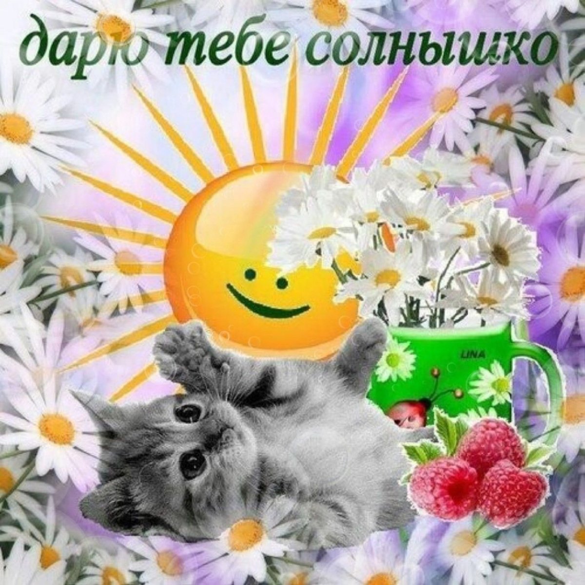 Открытка солнышко