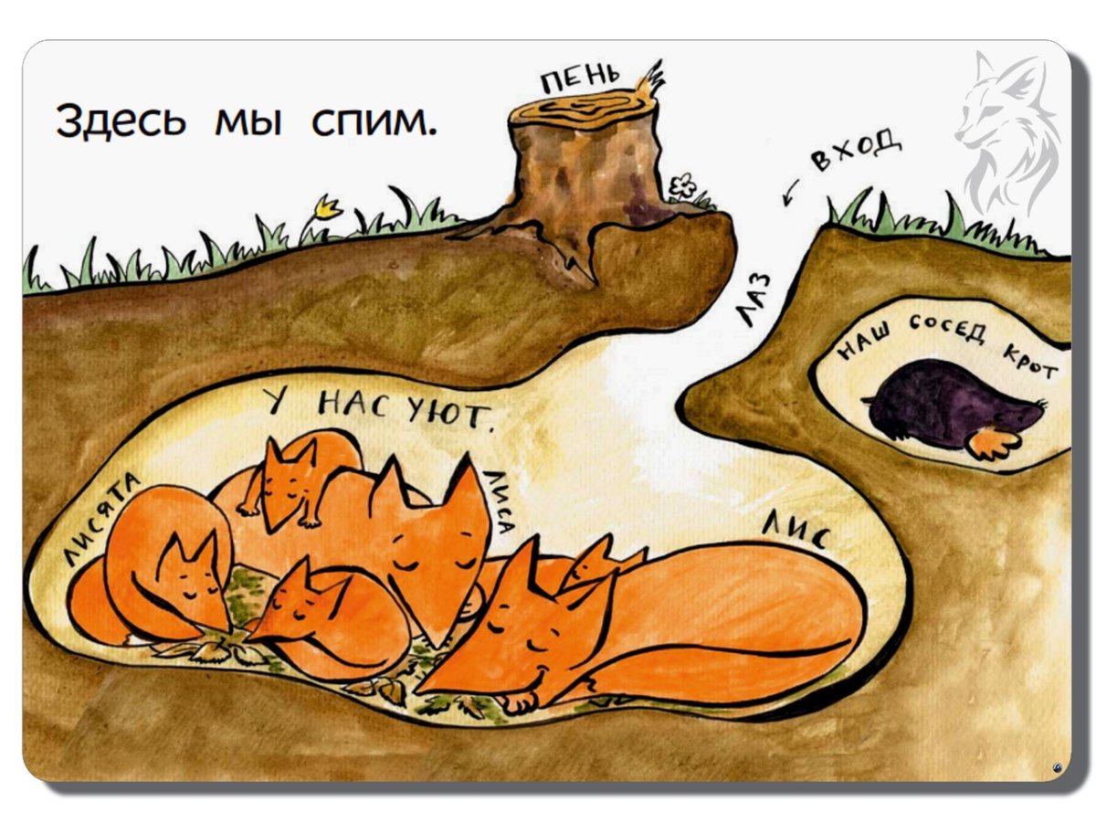 Лисья Нора в разрезе