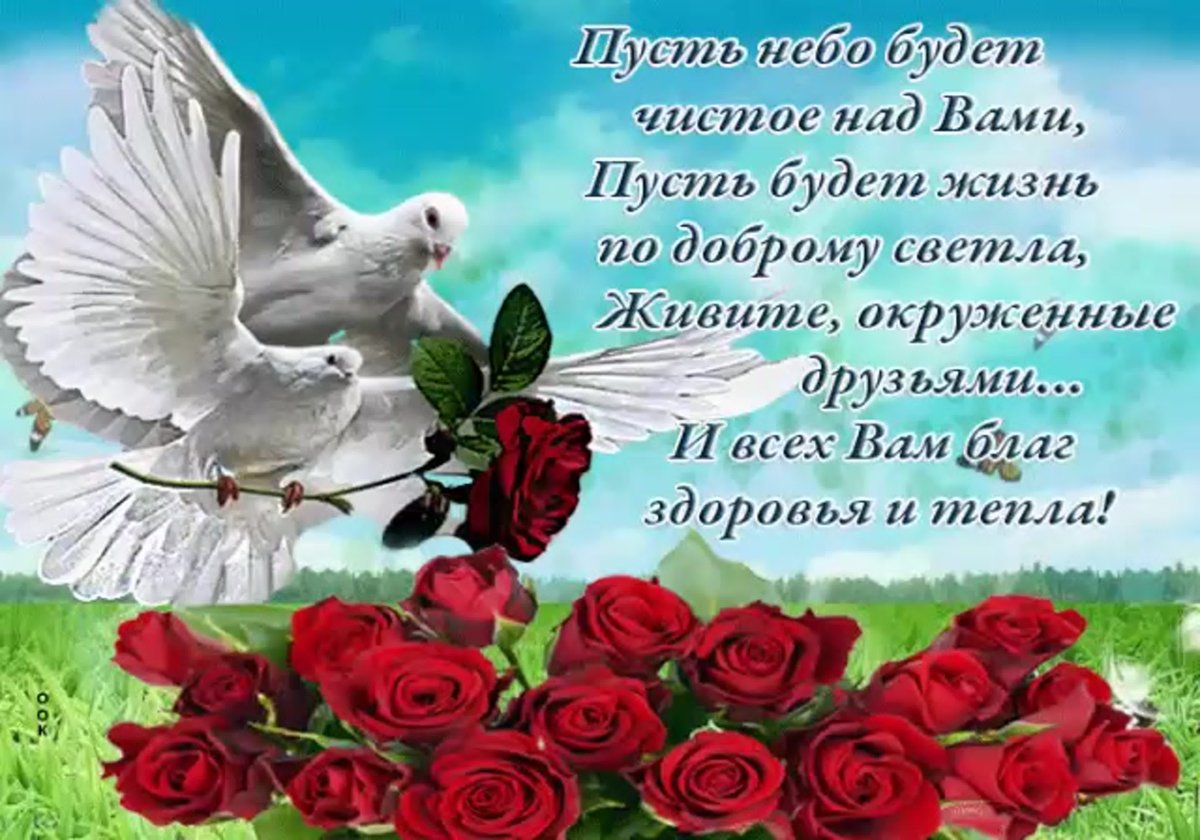 Пожелания мира и добра на земле