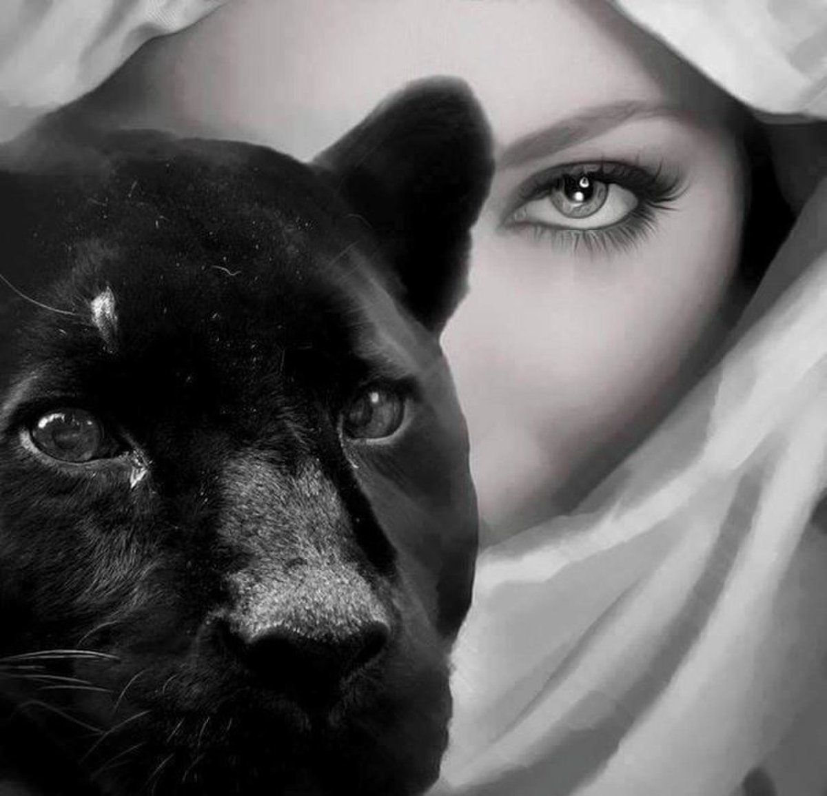 Пантера зимой