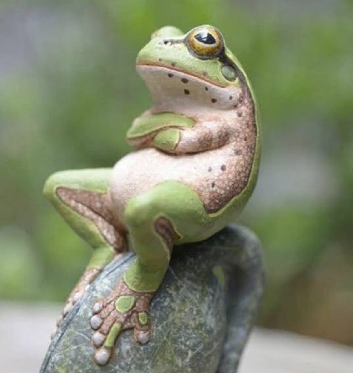 Прикольные лягушки