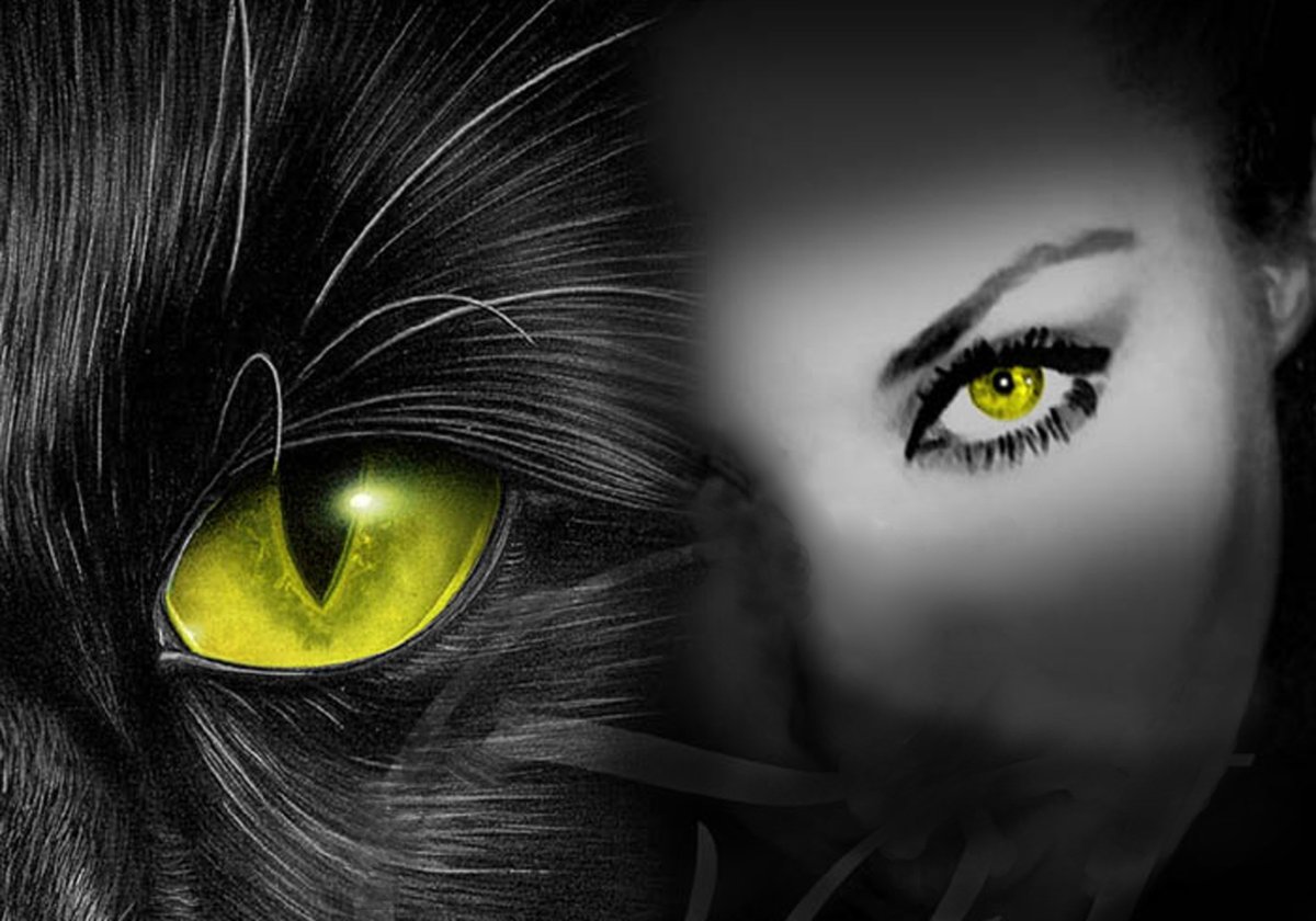 Пума черная