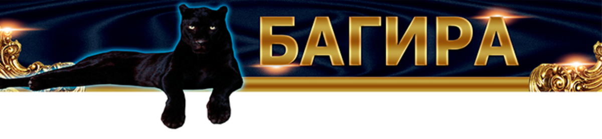 Чёрная пантера с бирюзовыми глазами Оксана чекменёва