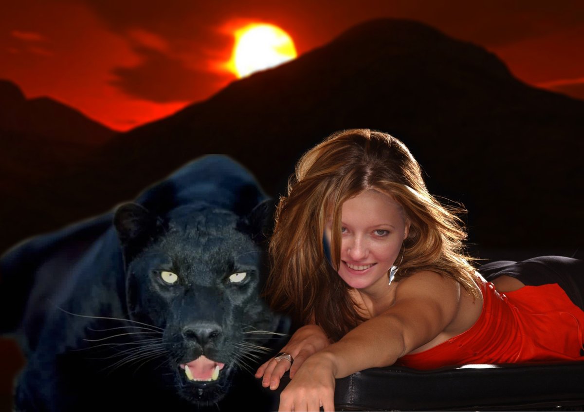 Черная пантера