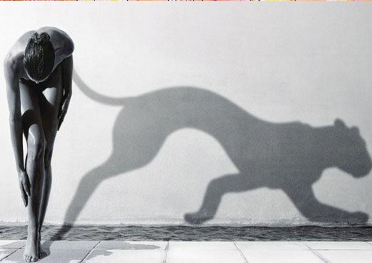 Ягуар меланист