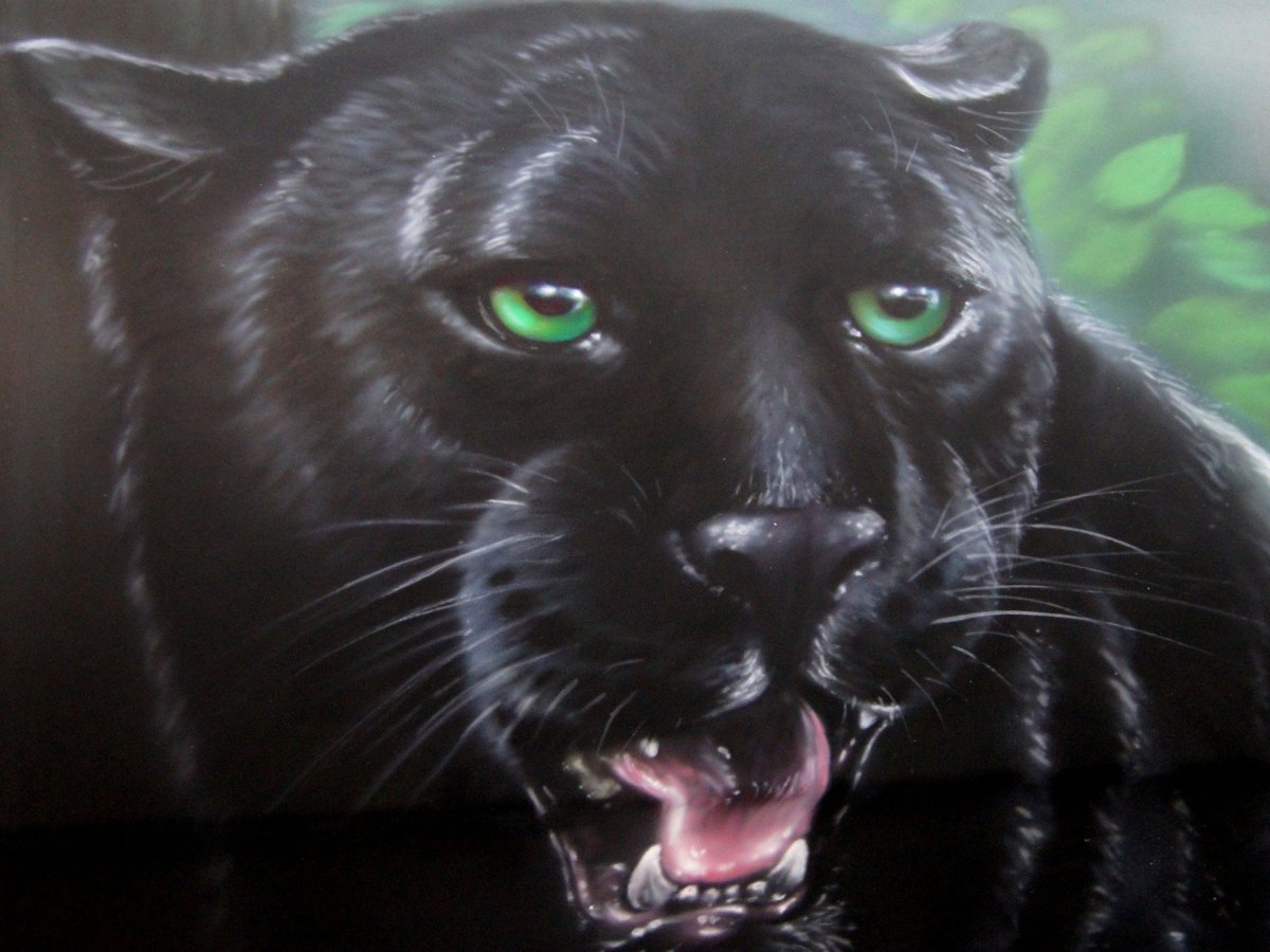 Черная Дальневосточная пантера