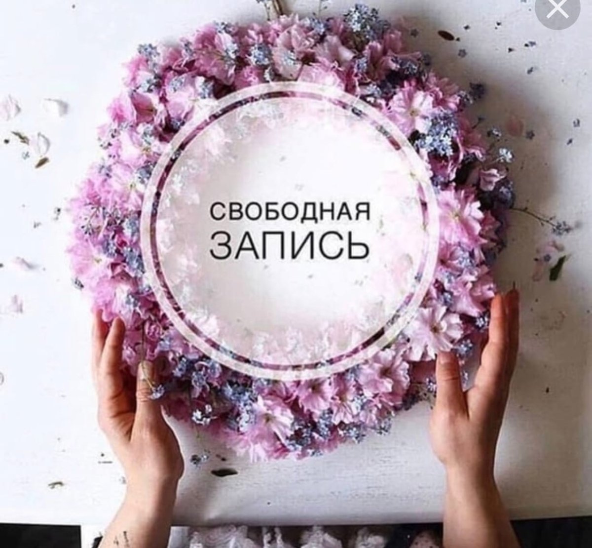 Свободные окошки лето для записи