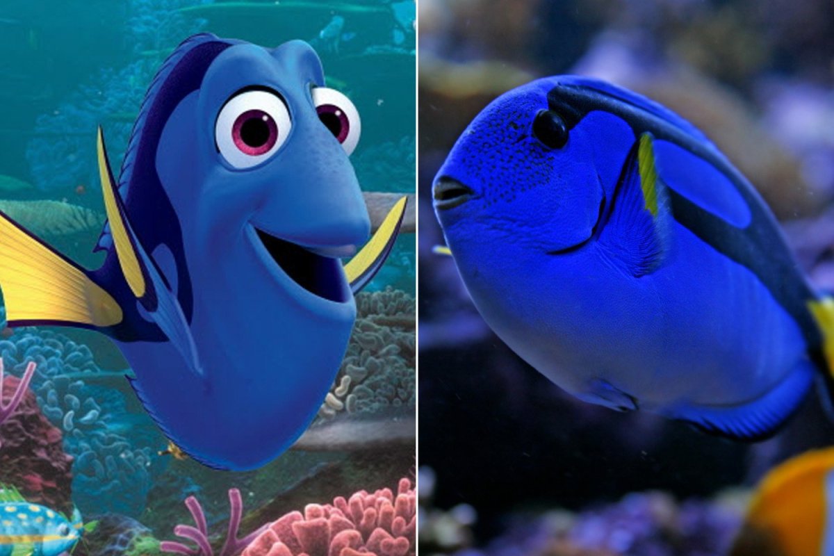 Дори из Немо