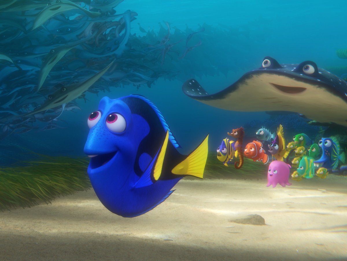 Дорри рыбка мультфильм