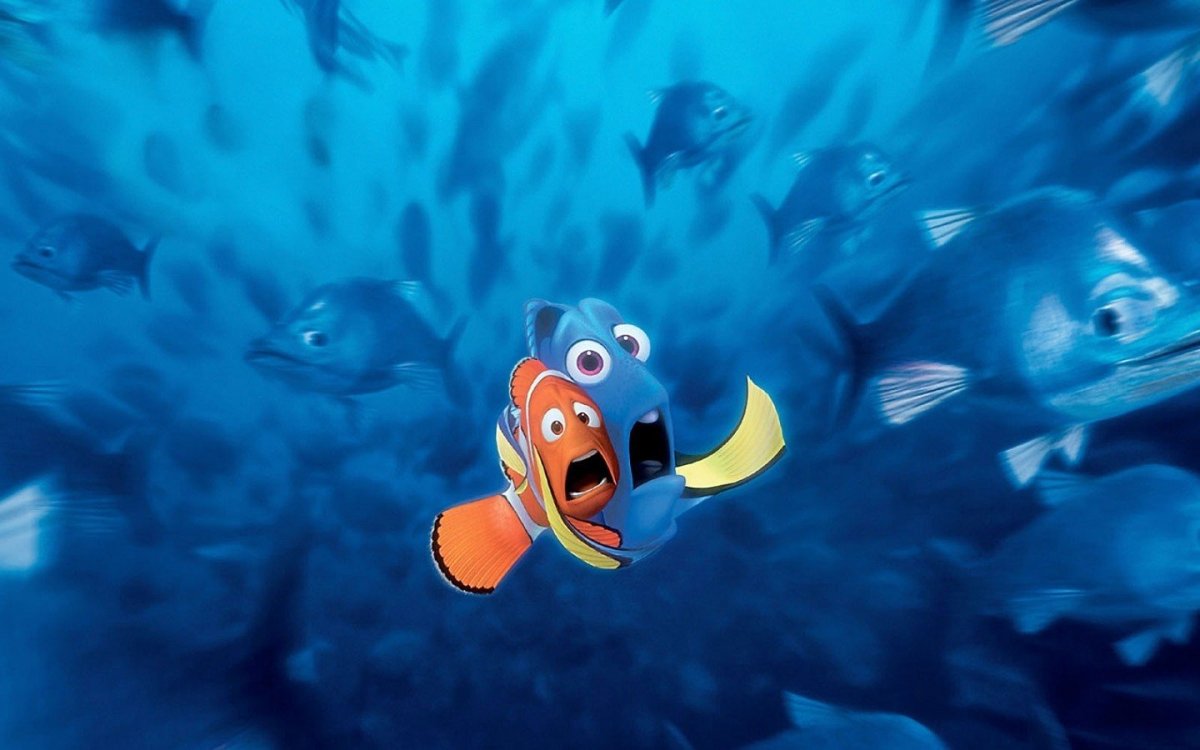 Рыба дори Немо