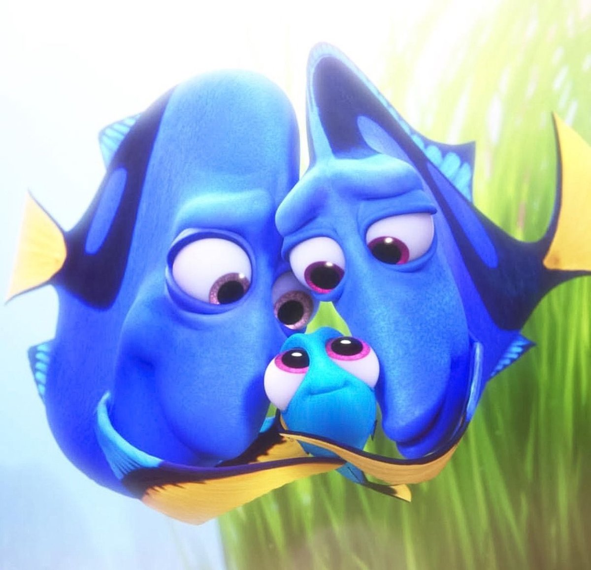 В поисках дори просто плыть