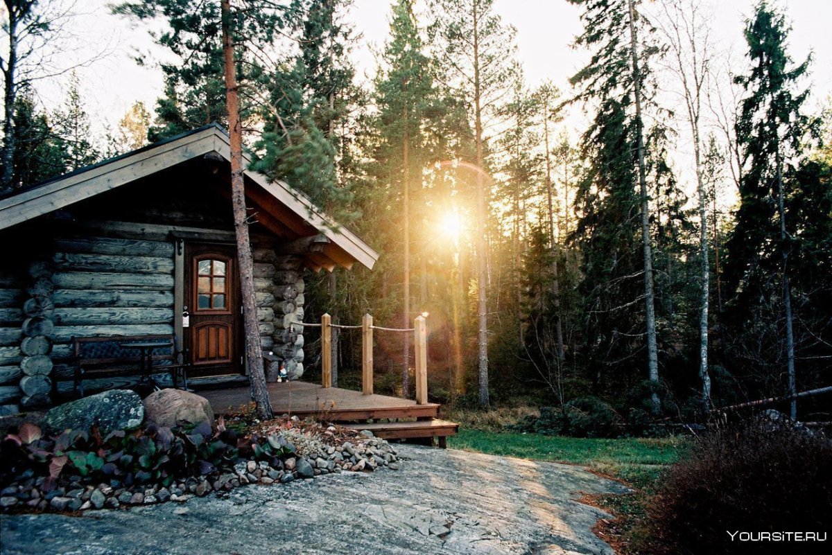 Олимпик Воронеж избушка бабы яги