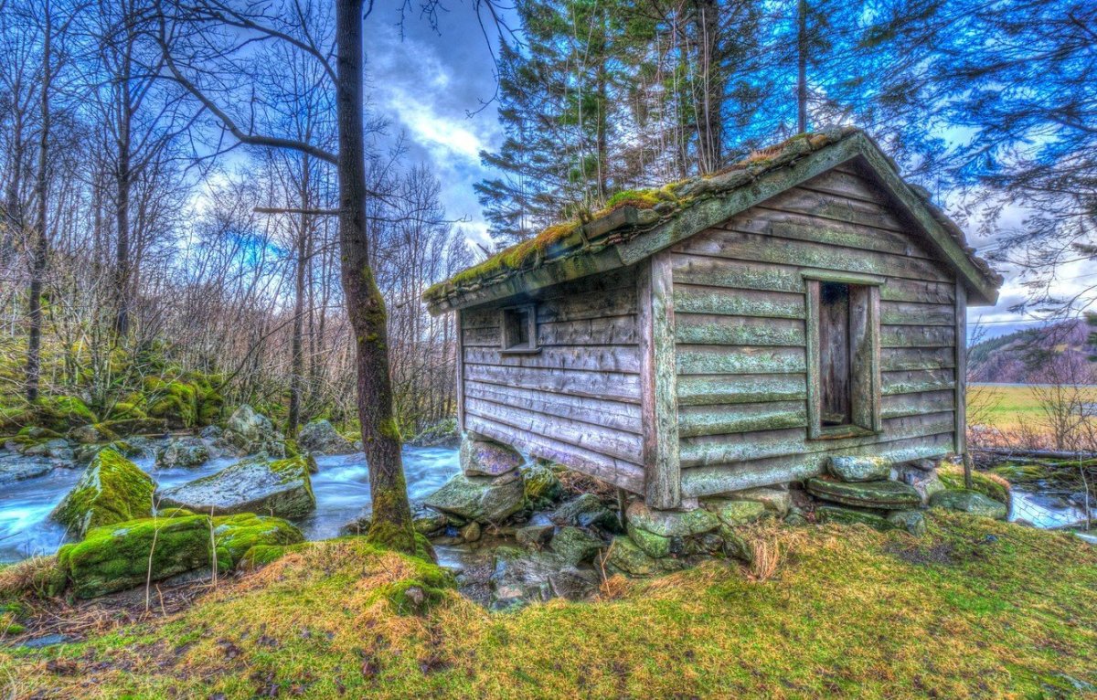 Избушка в дремучем лесу