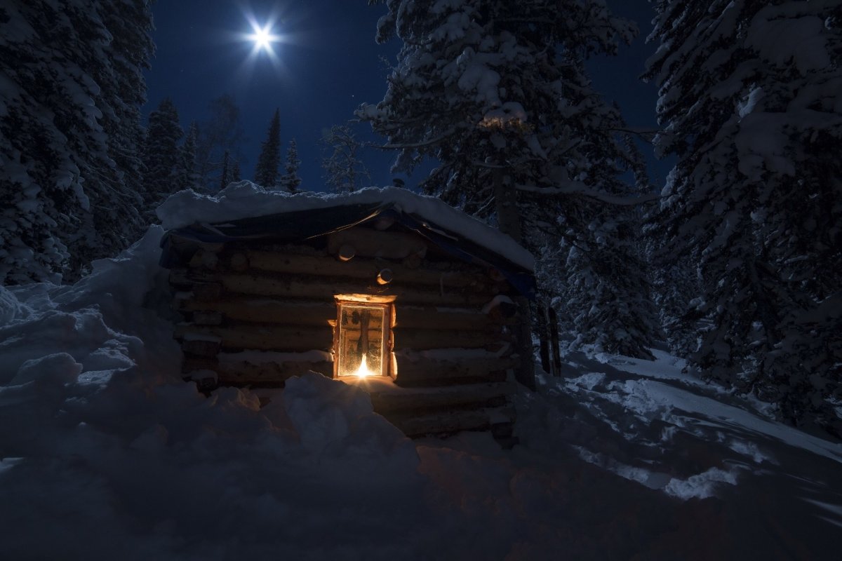 Друскининкай лес избушка