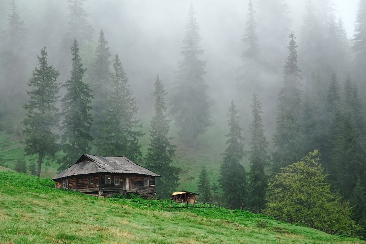 Лесная Хижина Финляндия