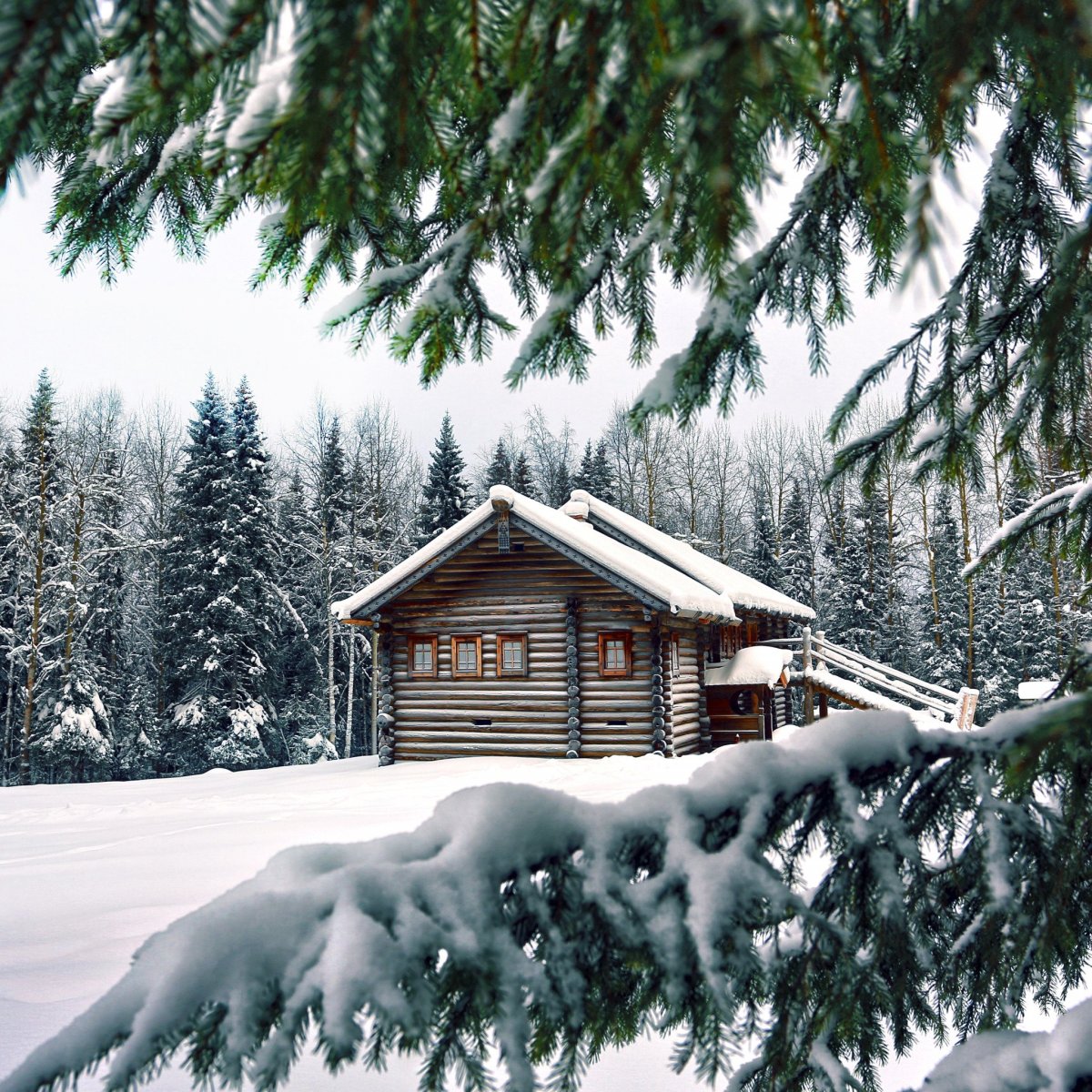 Охотничий дом в лесу