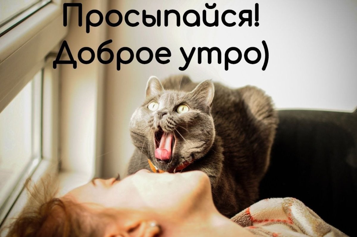 Открытки с добрым утром прикольные для мужчины