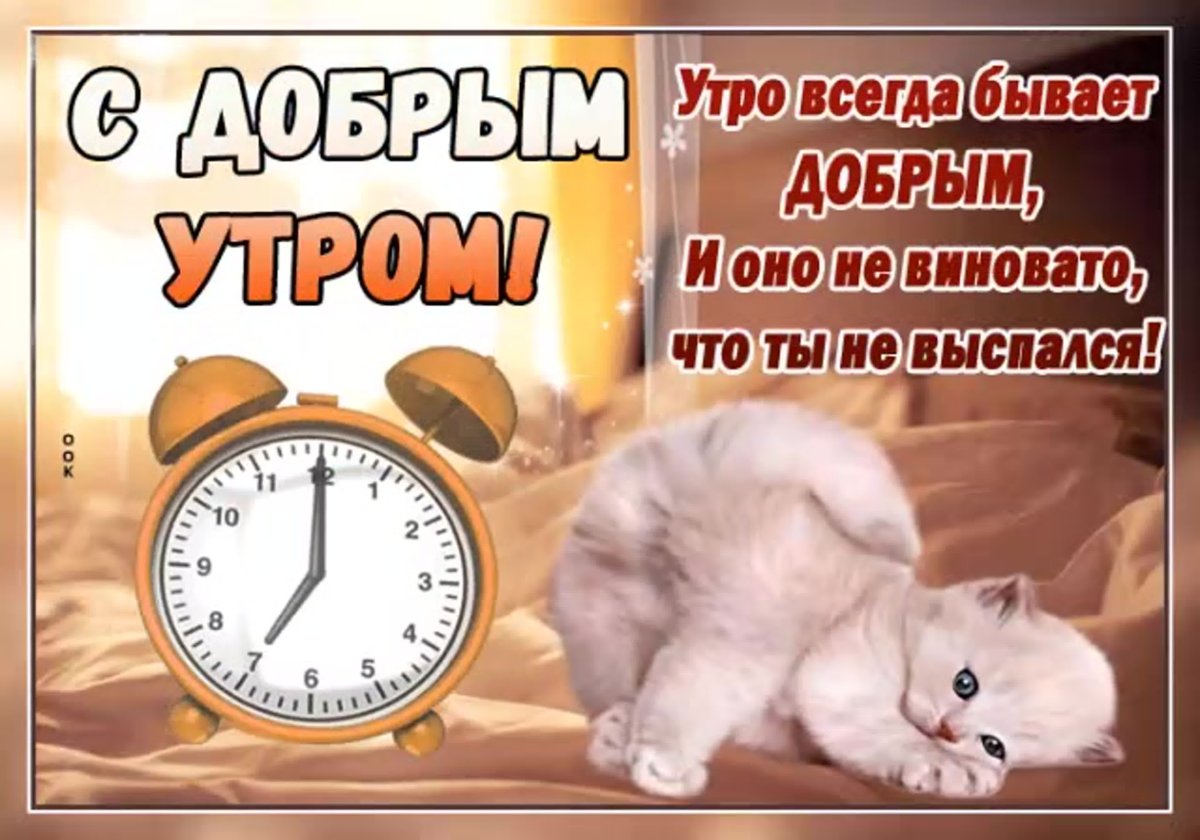 Проснулся утром