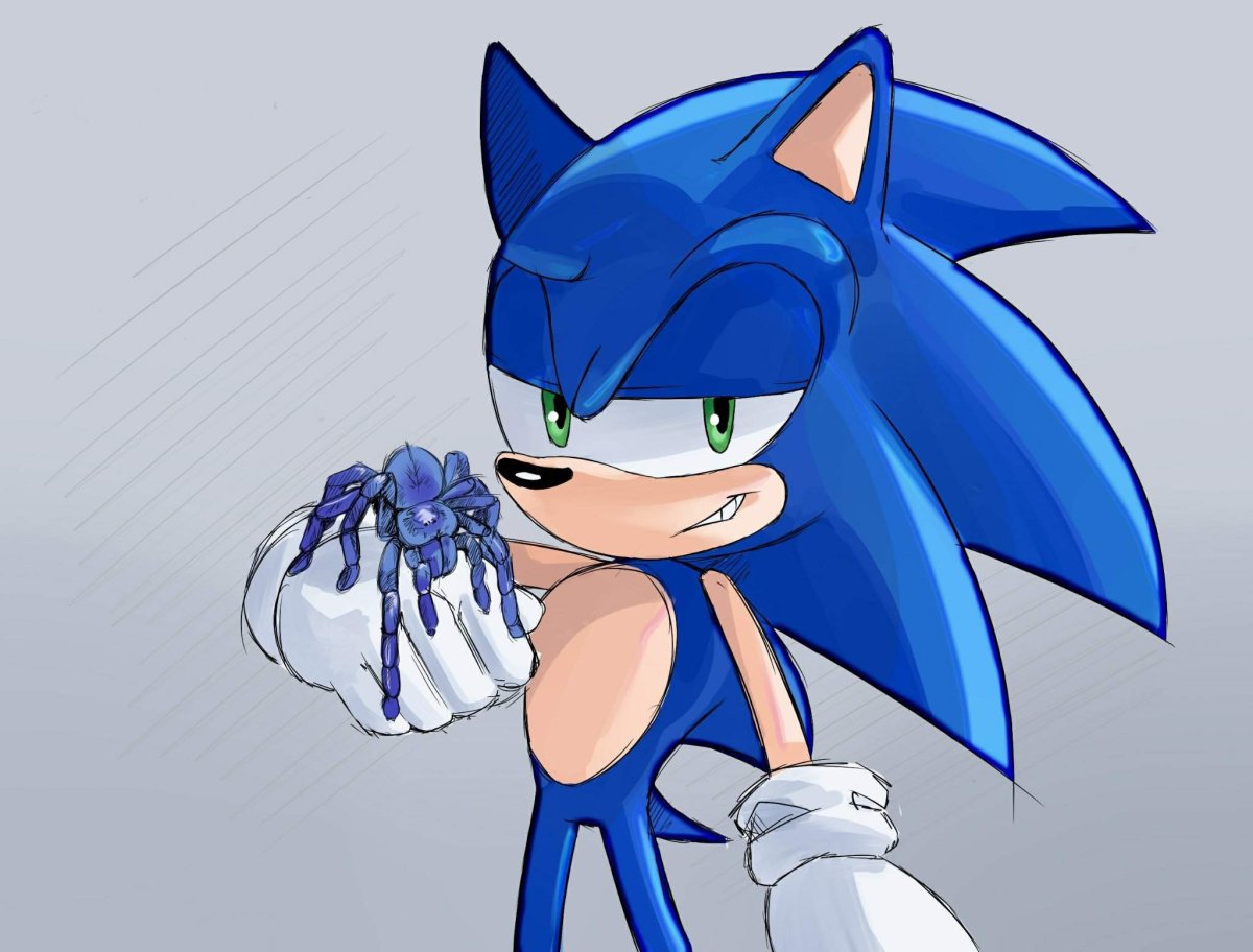 Sonic Amino Rus Соник еж