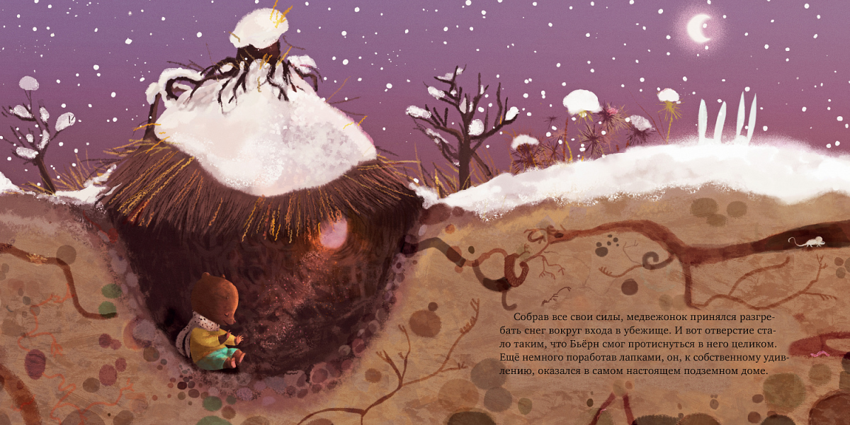 Войцеховский Берлога для Бьерна