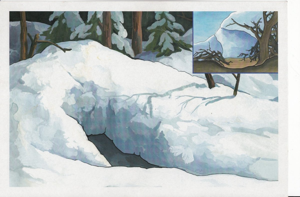 Берлога для детей