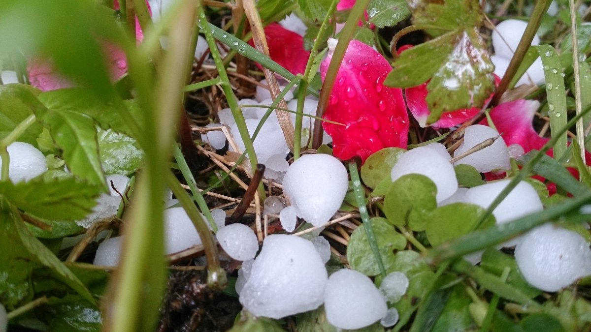 ГРАТ преродное евленее