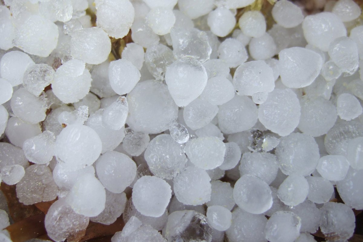 Ледяной град