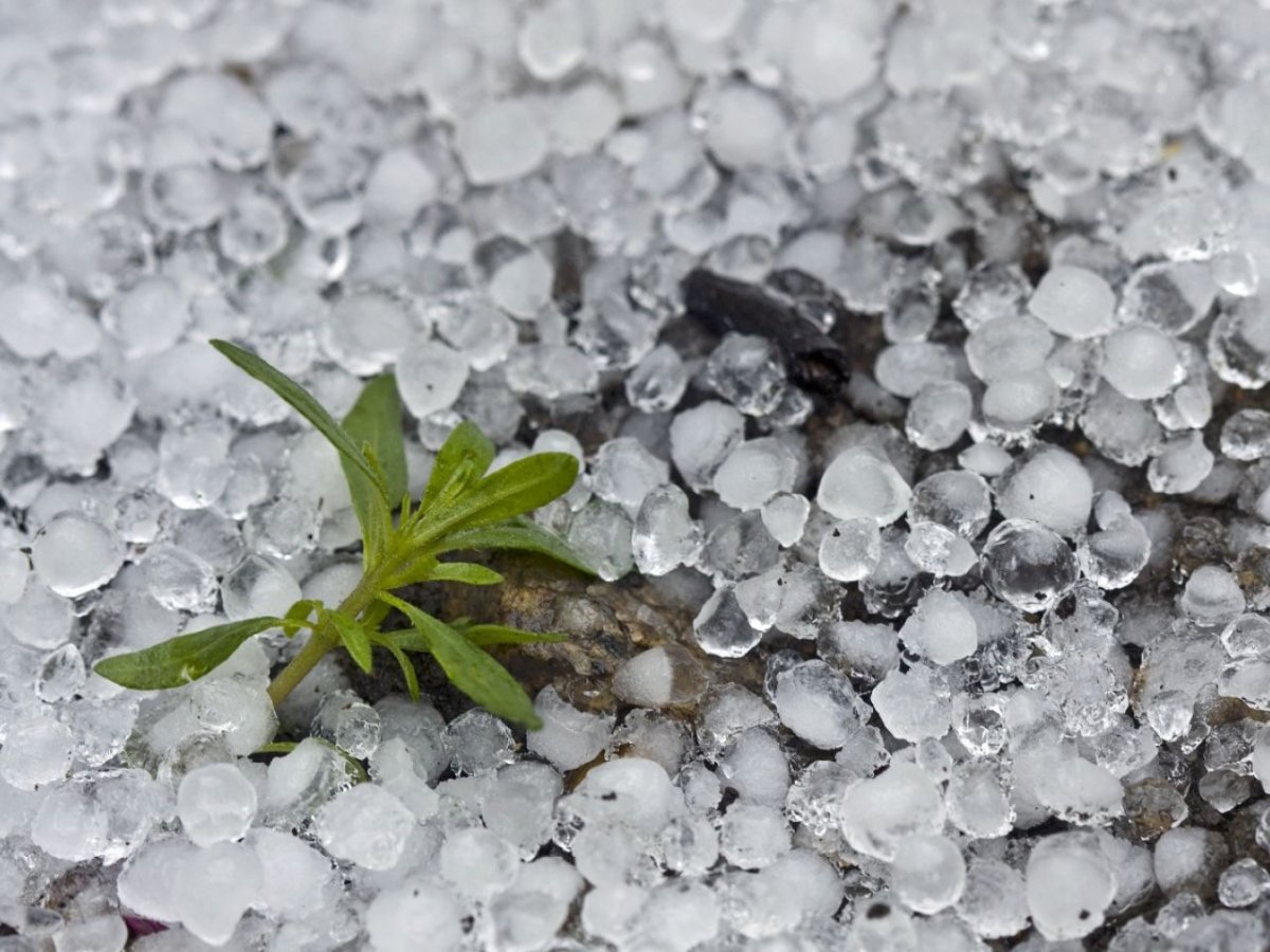 Ледяной град