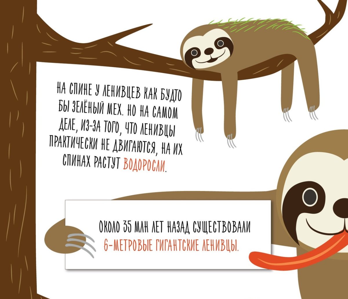 Ленивец карикатура