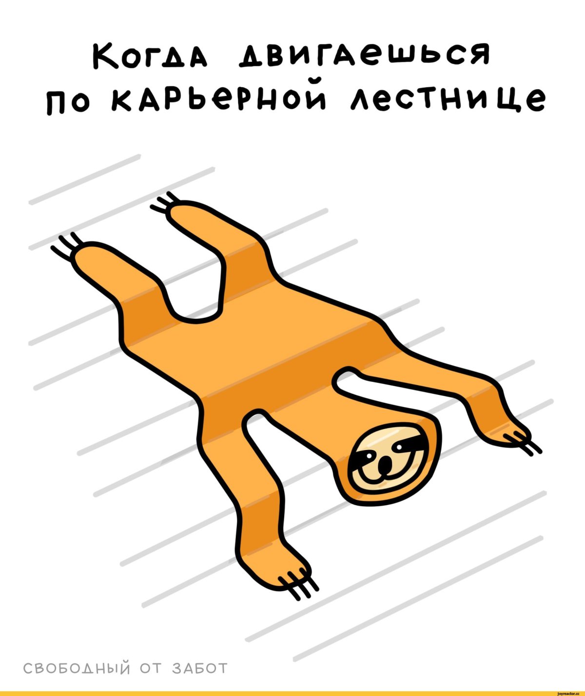 Ленивец cartoon
