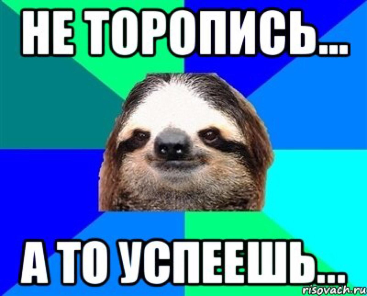 Ленивец улыбается