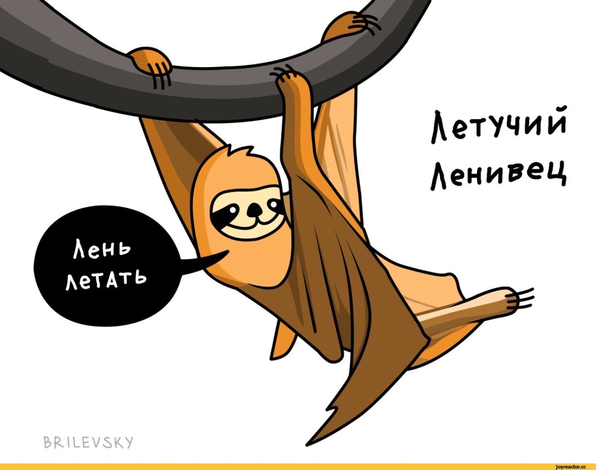 Ленивец с надписью