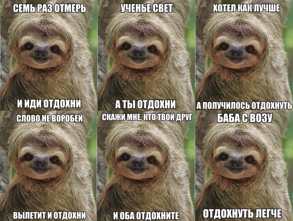 Правда ли Secrets of Lazy animals