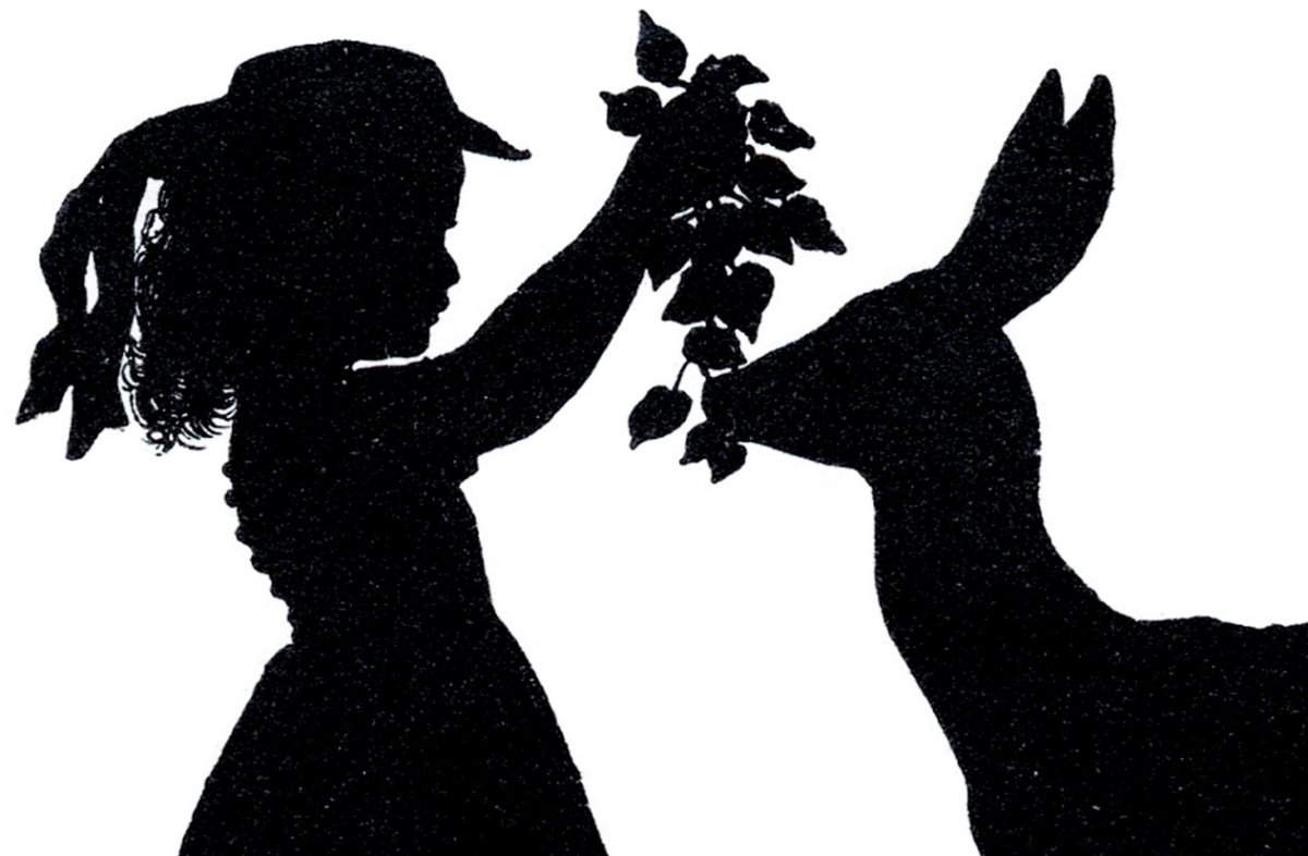 Силуэт женщины с бабочками