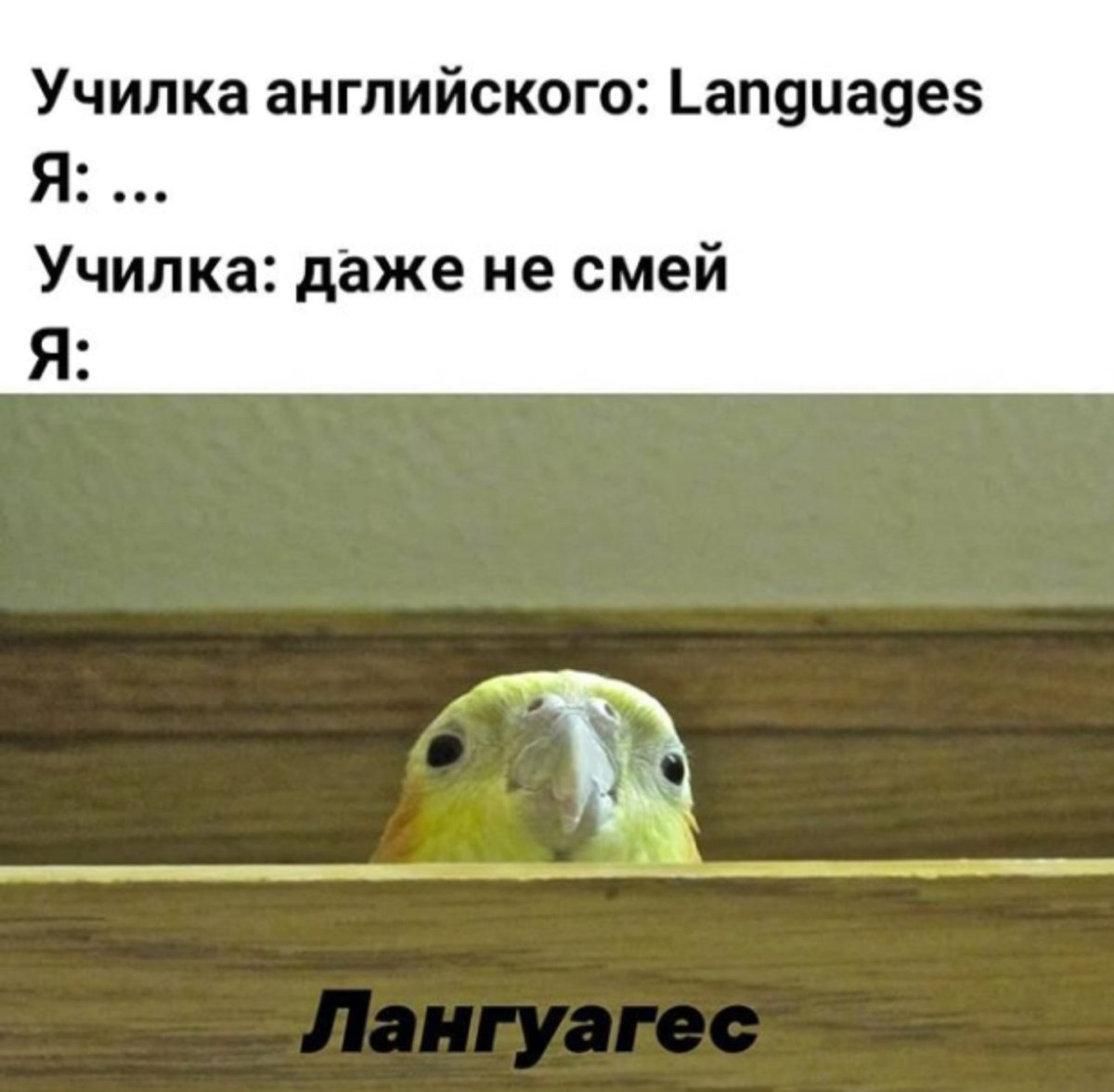 Злые учителя в школе