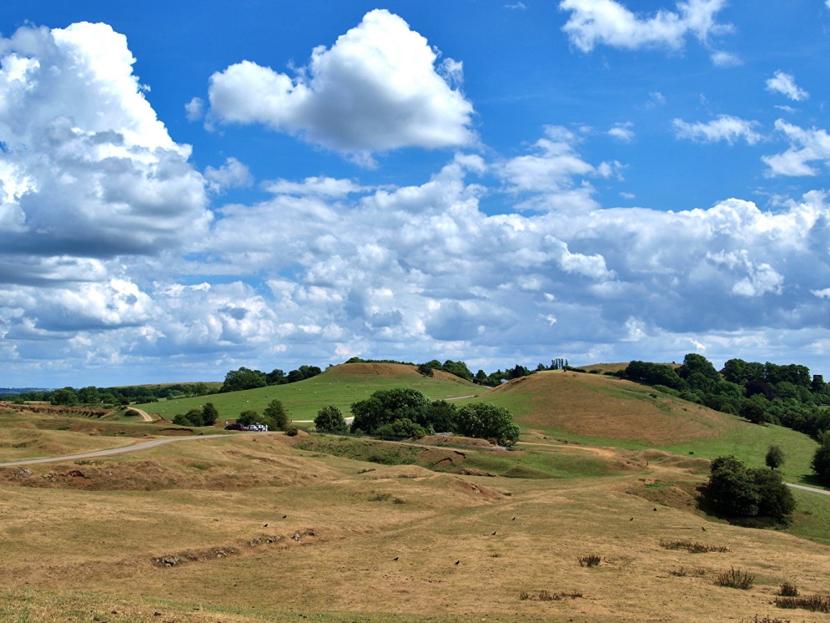 Лесостепь обои
